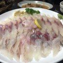 청해회물회