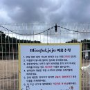 두부네 애견카페 | [제주/애월/유수암] 제주 애월 애견카페 블리스풀 방문기｜잔디 운동장에서 시작된 두부의 첫 사회화 연습