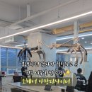 오헤어(Ohair) 이미지