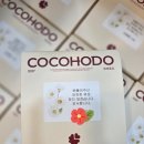 코코호도첨단점