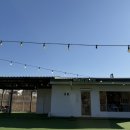 에브리댕댕 이미지