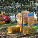 진환농장 이미지