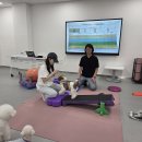 반려인학교 이미지