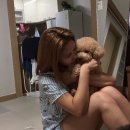 고마워강아지 | [공지] 강아지 심장사상충약 먹고 완치했던 치료 과정_고생했고 고마워 ♥