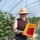 진주북부농업협동조합 이미지