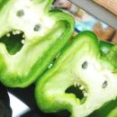 바디스쿨 네이버블로그