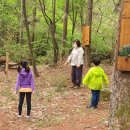 자연처럼 이미지