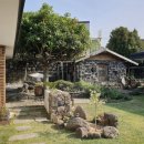 제주 소락 이미지