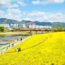 화순 하니움문화스포츠센터 공설운동장 이미지