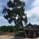 염수재(念修齋) 이미지