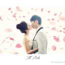 스튜디오로이
