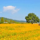 체육문화공원(축구장) 이미지
