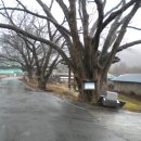 곡성-157 이미지