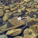 전라도군산식당 | 여름 힐링의 끝판왕! 공주'전라도 군산식당' 계곡뷰 닭도리탕에 마음을 빼앗기다! (feat.내돈내산 찐 후기)