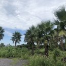 구좌읍 <b>맛집</b> 찾아서