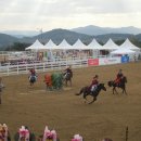 상주국제승마장 이미지