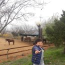 해맞이승마클럽 이미지