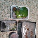 강동 생족발 보쌈 이미지