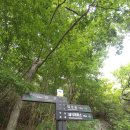 제617차 광주 메아리 산악회 정기산행(지리산 대성계곡) 이미지