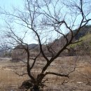 원지농원 | 20150314회동수원지둘레길트레킹