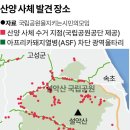 아프리카돼지열병 철책 따라 쌓인 산양 사체, 올겨울엔 떼죽음 막을 수 있을까 이미지