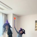 앨리스코티지 네이버블로그