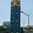 안암역 | 대나무다방ㅣ고려대 카페 안암역 근처 맛집 크림쓴 타이거 후기