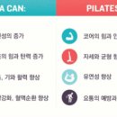 벨라필라테스&요가