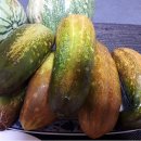 정감이간다 이미지