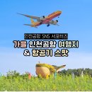 인천국제공항 비행기 스팟✈️ | 인천공항 전망대 | 하늘정원 | 여객터미널 | 국제업무단지 | 호텔과...