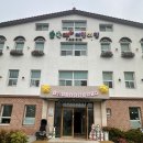 숲속애어린이집 네이버블로그