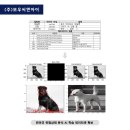 (주)신대영사 네이버블로그
