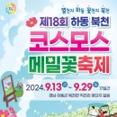 북천초등학교 | 2024 하동 북천 코스모스 메밀꽃 축제 기본정보 입장료
