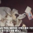 DE055 이미지
