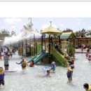 회산백련지 소공원 이미지