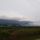 수평적사고 이미지
