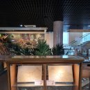 안면도쥬라기박물관 이미지