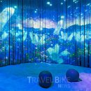 (주)공간트래블 이미지