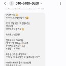 스테이 오후열시 이미지