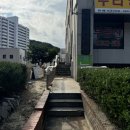 동해유공타워 | 동해 라움뷰티 _ 유지력 및 자연스러운 속눈썹 펌 후기