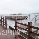태화강수상레저계류장 이미지