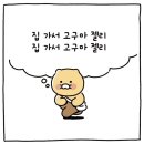 빙맥홀닭