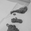 문정탑동물병원 이미지