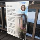 [도로]경기도건설본부앞 회전교차로 | 오남호수 - ( 2024.01.10 )