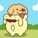 티아레나 네이버블로그