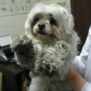 한길마트 이미지