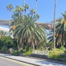 낙천리장 이미지