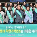 착한이용 티스토리