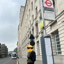 스타디움 | 아스날 에미레이츠 스타디움 투어 후기 (예약, 내부, 포토존) 드디어 소원 성취