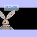 하뮤상점